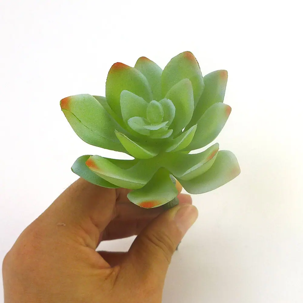 迷你莲花-灰绿2.jpg