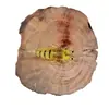 Cebo Luya Dos Especificaciones Camarón Simulado Señuelo Blando Camarón 4cm1g Saborizado y a Pescado Fuerte Atracción de Peces Suministros de Pesca