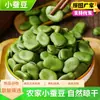 Nova Safra Fresca de Favas Secas, Grânulos Pequenos, Produzidas na Fazenda, Grãos Inteiros Frescos com Casca Fina