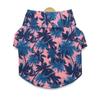 Roupas para Pets Camisa de Gato Verão Cachorro British Shorthair Gato Azul Teddy Primavera e Verão Fina Casual Duas Pernas Estampa da Moda