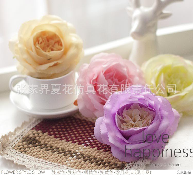 欧月花头_20.jpg