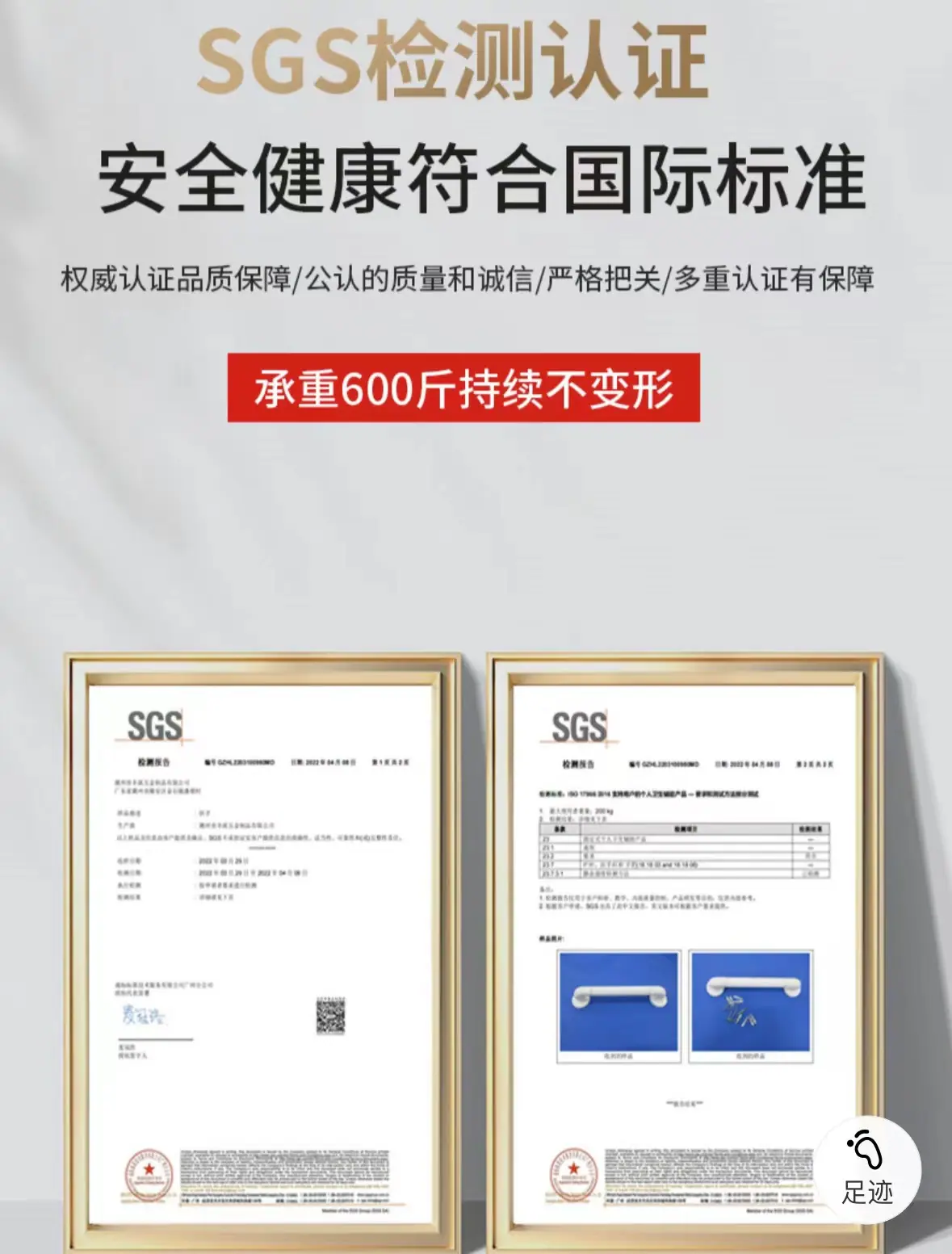 报告