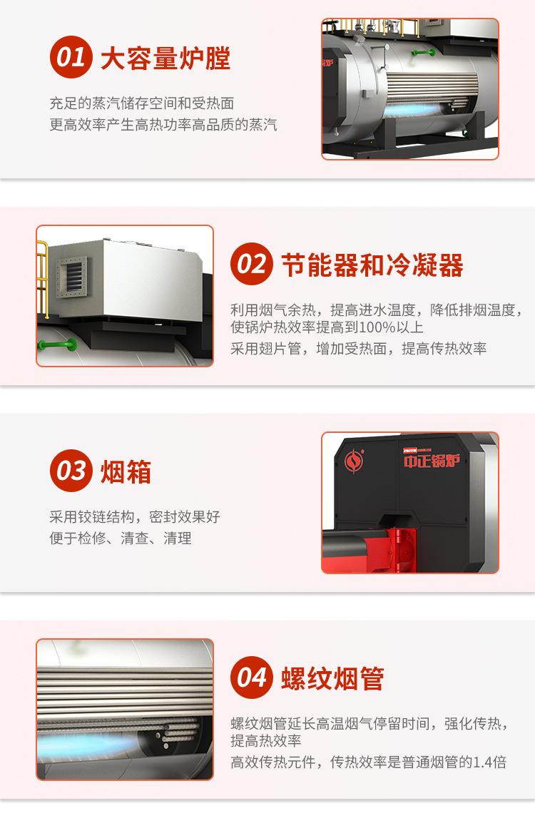 wns蒸汽_03.jpg
