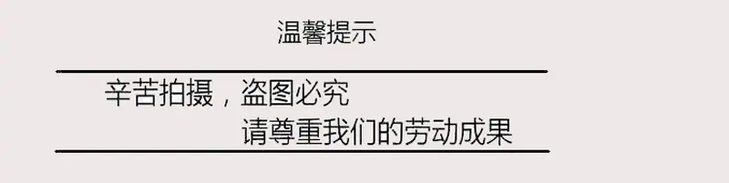 盗图必究