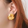 Colección de diseños de aretes calientes transfronterizos multiestilo aretes exagerados de lujo ligero de alta gama diseño de aretes venta al por mayor de aretes