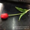 Tulipa de Silicone Macio Único Decoração de Casa Flor Artificial Arranjo de Flores Flor Flor de Plástico Toque Tulipa Fabricante