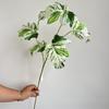 5 Folhas de Begônia Folhas de Chuva de Primavera Flores Artificiais de Casamento Fotografia Planta de Casa Decoração Floral Mori Vestido Suave Simulação Plantas Verdes