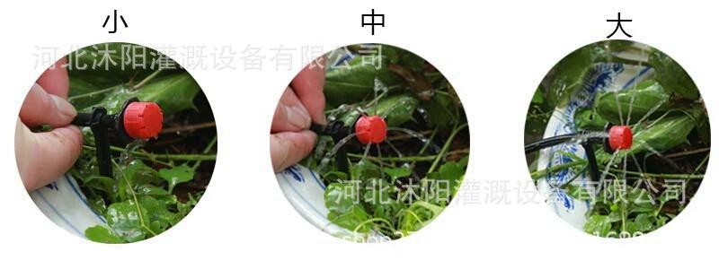 微信图片_20201006100116