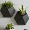 Nuevo Producto Más Vendido Transfronterizo: ¡Decoración de Maceta de Pared! ¡Impresión 3D!