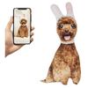 Gato payaso límite transfronterizo fábrica directa a mapa personalizado diy foto alienígena mascota almohada gato perro muñeco