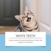 Caneta para Limpeza de Dentes de Animais de Estimação Eeljoy Limpa os Dentes, Remove o Amarelamento, Remove Manchas, Reduz o Odor Oral e Refresca o Hálito