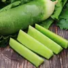 Zhongxiqiu Não. 5 Sementes de Rabanete Shawa Sementes de Rabanete Verde Outono Quatro Estações Vasos Sementes de Rabanete Fruto Shawa