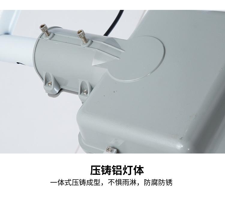 金豆款_22.jpg