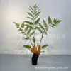 Simulación Planta de helecho perro dorado verde Planta verde Bonsái Simulación Mono dorado Paisaje de helecho Adornos de helecho cabeza de mono para interior de sala de estar