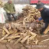 Madera de Azufaifo al por Mayor: Troncos de azufaifo. Grandes cantidades de leña de azufaifo de alta calidad están disponibles durante todo el año.. La madera es dura y duradera, y arde bien