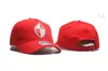 Gorra de béisbol de equipo de rugby transfronterizo de comercio exterior europeo y americano Gorra MLB nueva Gorra estándar de equipo de hockey sobre hielo de la NFL al por mayor