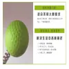 Mango de madera de fábrica resorte golf masajeador meridianos martillo de masaje golpeador de espalda martillo de fitness golpeador de espalda palo venta al por mayor