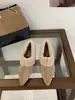 Sapatos de salto baixo estilo retrô com bico fino que aumentam a altura para mulheres, Novo Estilo Outono/Inverno 2026, Sapatos de Salto Alto com Forro de Pelúcia, Sapatos Quentes de Algodão