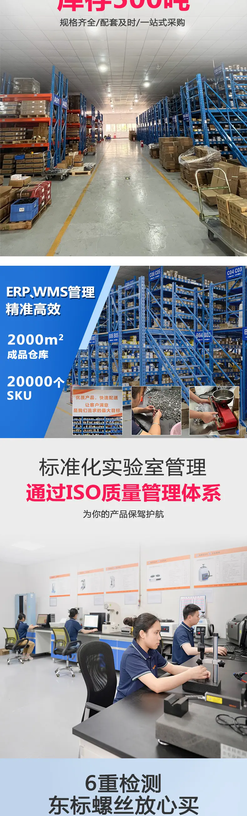 东标大扁头自攻新详情_03.jpg