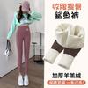 Calça Shark de Lã de Cordeiro Grossa Que Não Desce, Roupa Externa Feminina para Outono e Inverno, Calça com Forro de Fleece, Cintura Alta, Controle de Barriga e Leggings Levanta Bumbum