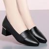 Zapatos de Trabajo Nuevos 2023 Primavera y Otoño Zapatos de Cuero Tacón Grueso Cuero Suave Suela Suave Casual Zapatos de Una Capa para Mujer Zapatos de Mamá Cuatro Estaciones