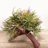 Soporte para Planta de Aire Soporte para Suculentas Base de Soporte para Planta de Aire Gancho para Planta en Maceta Decoración Jardinería Estante de 18 Colgadores