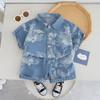 Traje de Verano para Niños 2024 Nuevo Bebé Estilo Occidental Estilo Nacional Manga Corta Verano Guapo Mezclilla Dos Piezas Moda Pelo