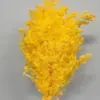 Materiales para Ramo de Fuegos Artificiales Pino Penglai Eterno Ramas Cortas Ramas Largas Materiales Hechos a Mano Arreglo de Ramo Floral