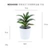 Set de Bonsái de Suculentas de Plástico Mini en Stock, Suculenta Artificial Creativa de Amazon, Flor Artificial Transfronteriza Planta en Maceta Pequeña