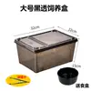 Caja de Cría Nueva de Segunda Generación para Reptiles, Caja para Mascotas Reptiles Geckos, Tanque de Plástico para Cría de Tortugas, Caja de Cría para Lagartijas