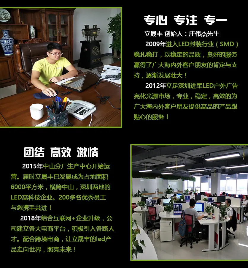 公司团队