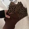 Colección nueva otoño/invierno transfronteriza: calcetines de moda hasta la pantorrilla con estampado de leopardo y color café en una paleta de colores Maillard, moda estilo coreano