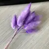 Fábrica atacado coelho cauda grama flor seca buquê de flores secas Natal DIY flor multi-cor opcional 10 ramos