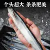 Pescado de Mar Fresco y Congelado de Grado Sashimi, de Tamaño Grande, Capturado en Aguas Profundas, Sashimi Estilo Japonés, Venta al por Mayor y Distribución Comercial