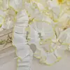 Encaje Blanco Azul Rosa de Gasa Plisado Borde Dentado 3 cm de Ancho Recorte para Escote de Ropa Dobladillo de Vestido de Muñeca Lolita Decoración para Mascotas