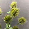 6 linternas redondas pino diente de león ramo seco artificial modelo bola crisantemo paisajismo de habitación crisantemo ping pong plantas verdes decorativas