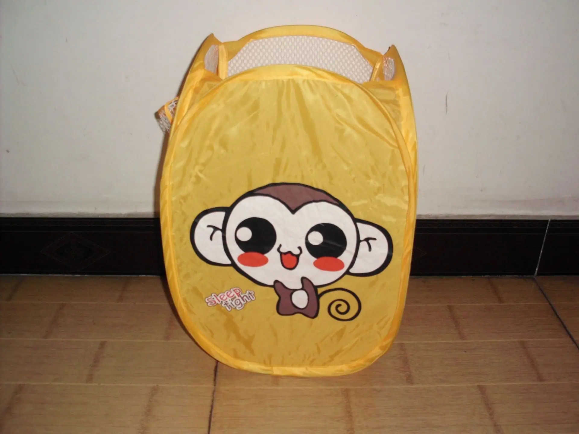 DSCI0030