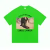 Camisetas de Verão de Algodão Engraçadas Meme Italian Brainrot Lirili Larila