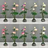 Decoración de Plato de Sashimi, Guarnición de Plato Frío para Catering de Hotel, Decoraciones de Flores y Hierbas de Plástico para Platos, Adornos Pequeños, Flor de Ciruelo de Invierno