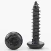 Tornillo Autorroscante Antirrobo de Acero Inoxidable 201 Negro Cabeza Redonda Ranura Flor de Ciruelo Cabeza Plana Flor de Ciruelo Interior M2/M3/M4/M5