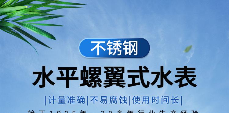 水平不锈钢水表_01.jpg