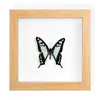 Decoración de Vestíbulo Marco de Fotos de Animales Insectos Raros Mariposa Olvida-La-Preocupación Espécimen de Mariposa Real Pintura Decorativa de Fondo para Mujeres