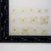 Hortênsia em Forma de Pétala Flor Seca Flor Prensada Materiais para DIY Flor Real Prensada Espécime de Planta Joias de Resina Decoração Artesanal