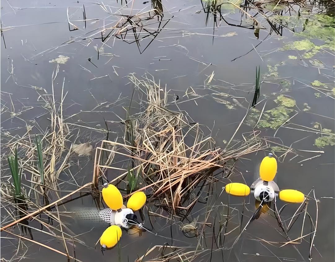 O1CN011Z7XVK1gRi4VSzHIh_!!2931