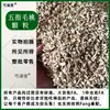Melocotón de cinco dedos tamaño granular tamaño granular hierba medicinal china color original sabor original embolsado para infusión productos secos para hacer sopa Raíz de melocotón de cinco dedos