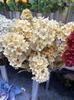 Boda 3 Hortensia Copo de Nieve Flor de Simulación Morado Boda Auditorio Floral Camino de Flores Inserto de Flores Accesorios Fotográficos Suaves