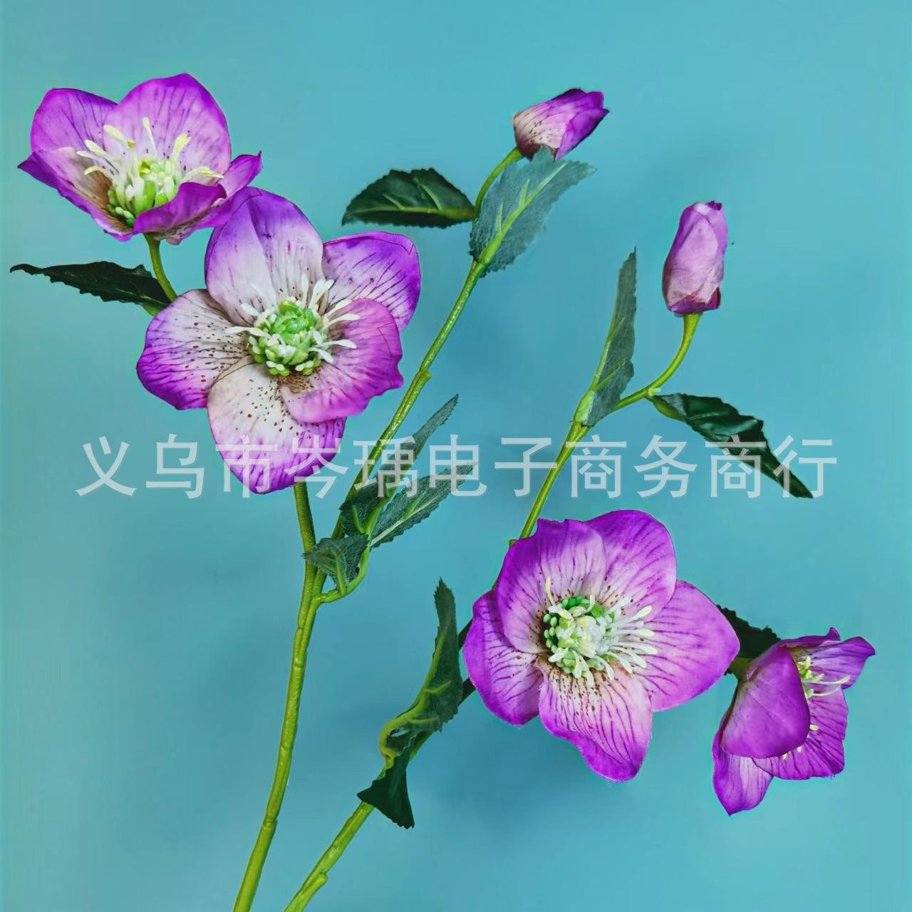 微信图片_20220608110044.jpg