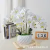 Flor Artificial Orquídea Bonsái Flor de Simulación Fabricante Decoración del Hogar Dropshipping Planta en Maceta de Simulación Flor Artificial