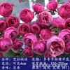 Mudas de Roseira Trepadeira, Variedades Fragrantes de Flores Grandes, Florescem Continuamente em Todas as Estações, Adequadas para Treliças e Plantio em Jardim, Plantas de Vaso