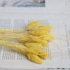 Buquê de Flores Secas com Pedras Naturais, Materiais de Flores Eternas, Materiais para DIY, Adereços para Decoração de Casamento